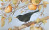 bigblackbird (121773 bytes)