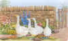 geese (89709 bytes)
