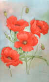 poppy (112124 bytes)